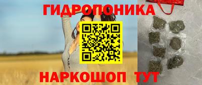 spice Аргун