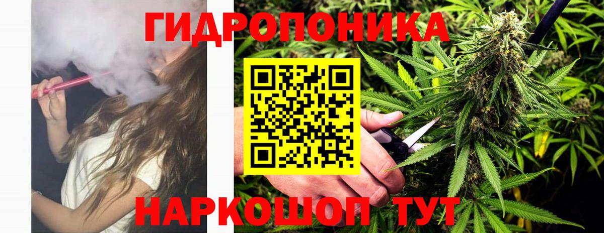 Бошки марихуана семена  Вход с VPN  Конопля семена  Канабис планчик  Берёзовский 